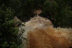 Iguazu33