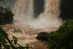 Iguazu4