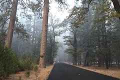 Smoky Yosemite
