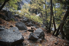 L'automne au Yosemite