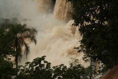 Iguazu31