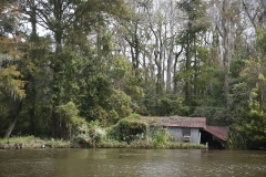 Maison du Bayou
